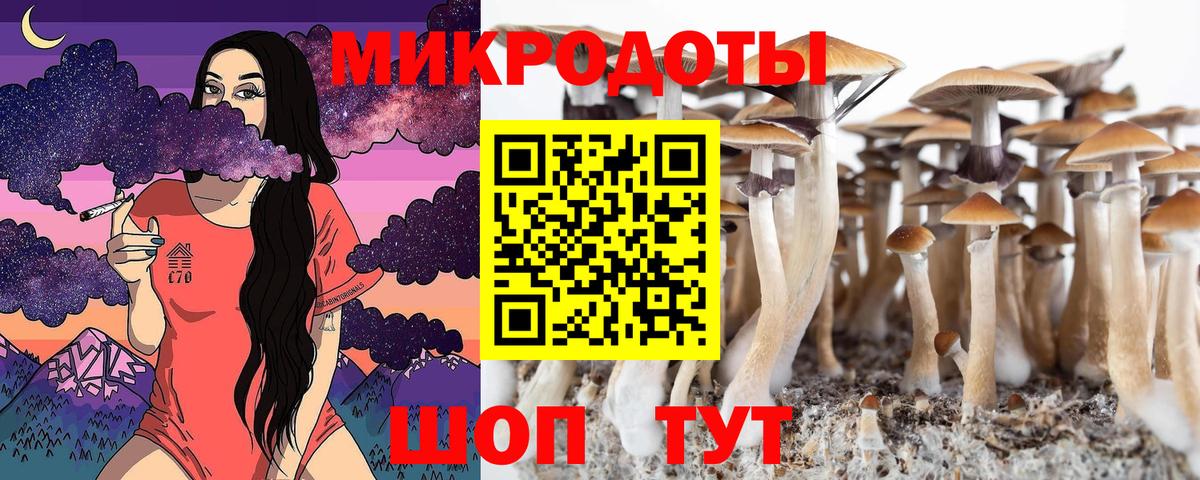 Псилоцибиновые грибы Cubensis Ирбит